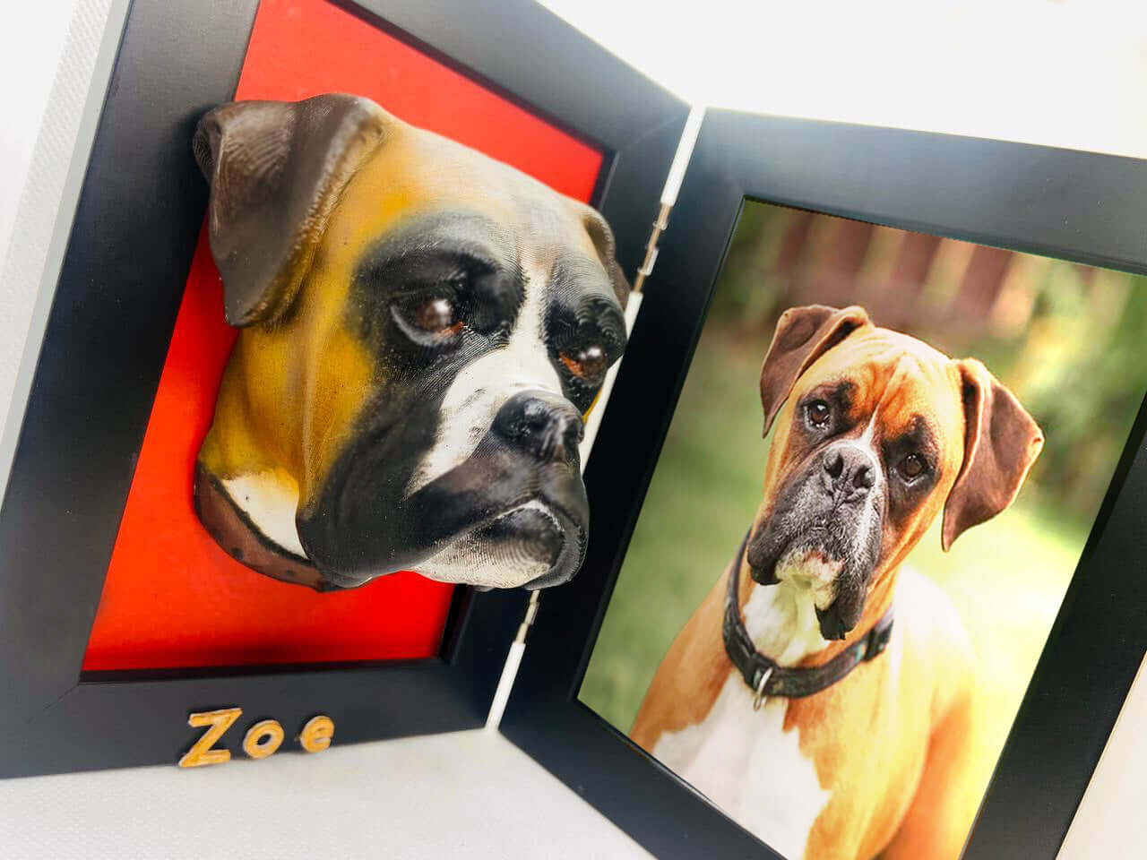 A 3D portrait of a dog named Zoe next to a framed photograph of the same dog. The 3D portrait is mounted on a red background, while the photograph is displayed in a black frame.
